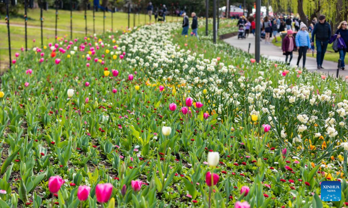 Photo taken on Sep 17, 2022 shows the festival event of Floriade at the Commonwealth Park in Canberra, Australia. Photo:Xinhua