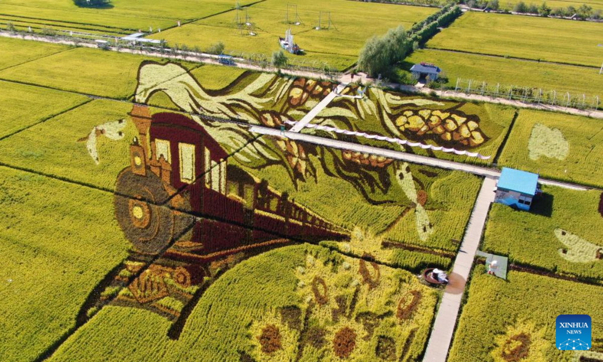 Aerial photo taken on Sep 1, 2022 shows the graphic in the paddy field in Shenyang, northeast China's Liaoning Province. Photo:Xinhua