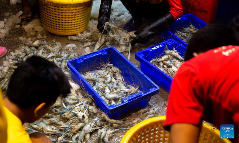 Workers sort fish at a fish wholesale market in Yangon, Myanmar, Sept. 1, 2022. (Photo: Xinhua)