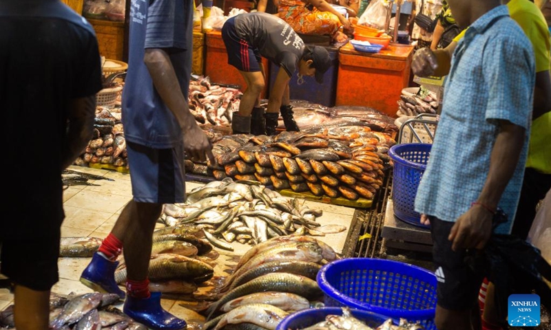 Workers sort fish at a fish wholesale market in Yangon, Myanmar, Sept. 1, 2022. (Photo: Xinhua)