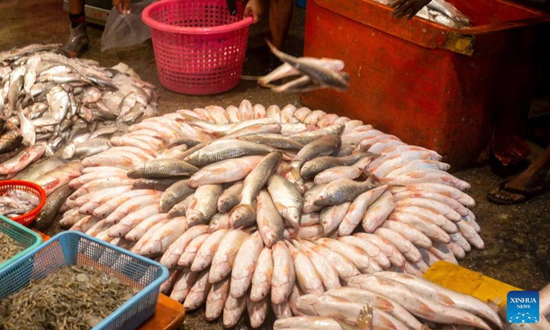 Workers sort fish at a fish wholesale market in Yangon, Myanmar, Sept. 1, 2022. (Photo: Xinhua)