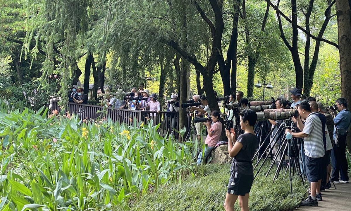 Photo taken on Aug. 30, 2022 shows a fish leaping about a giant waterlily flower at Zhujiang Park in Guangzhou, south China's Guangdong Province. (Xinhua)
