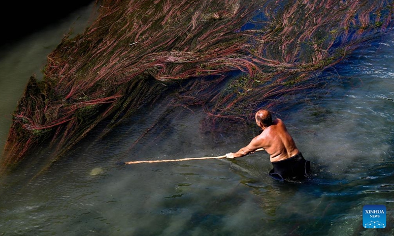 A man cleans water weed and garbage from the Crn Drim River in Struga, North Macedonia, Sept. 3, 2022.Photo:Xinhua