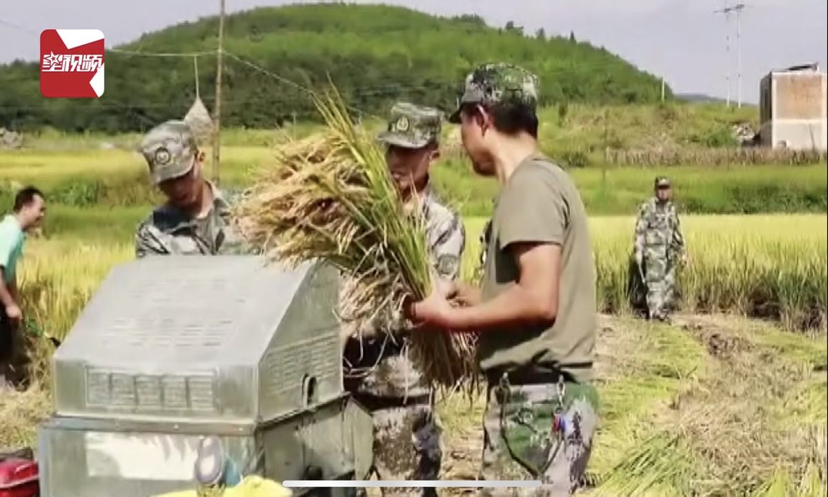 A video of a villager in Southwest China's Guizhou Province calling for people to help two elderly people harvest rice has gone viral online, and later received assistance from 12 soldiers. Source:Star Video 