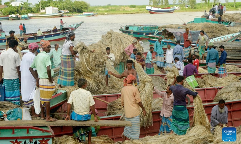 Laborers process bundles of jute at a ferry terminal in Munshiganj, Bangladesh, on Sept. 2, 2022.(Photo: Xinhua)