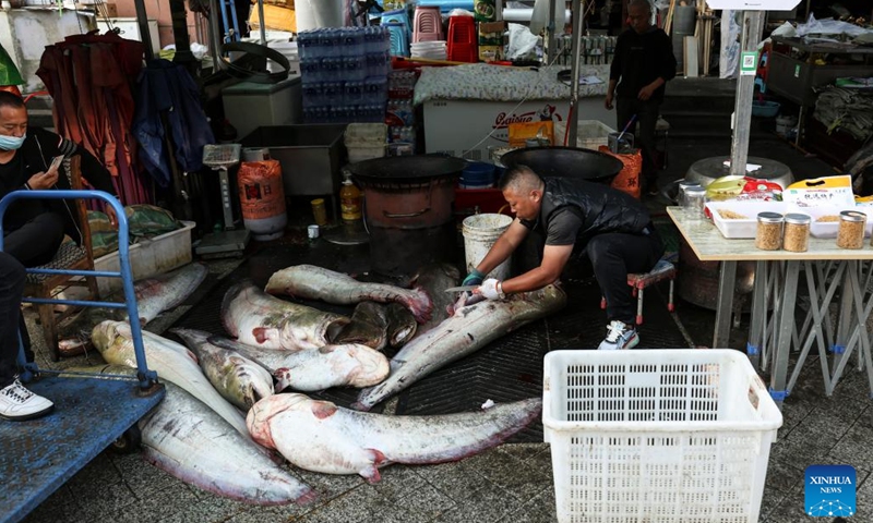 A vendor processes fish at Dongji fish market, literally means the easternmost fish market, in Fuyuan City, northeast China's Heilongjiang Province, Sept. 4, 2022.(Photo: Xinhua)