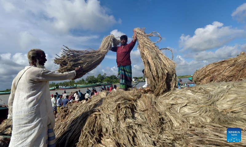 A laborer shows bundles of jute at a ferry terminal in Munshiganj, Bangladesh, on Sept. 2, 2022.(Photo: Xinhua)