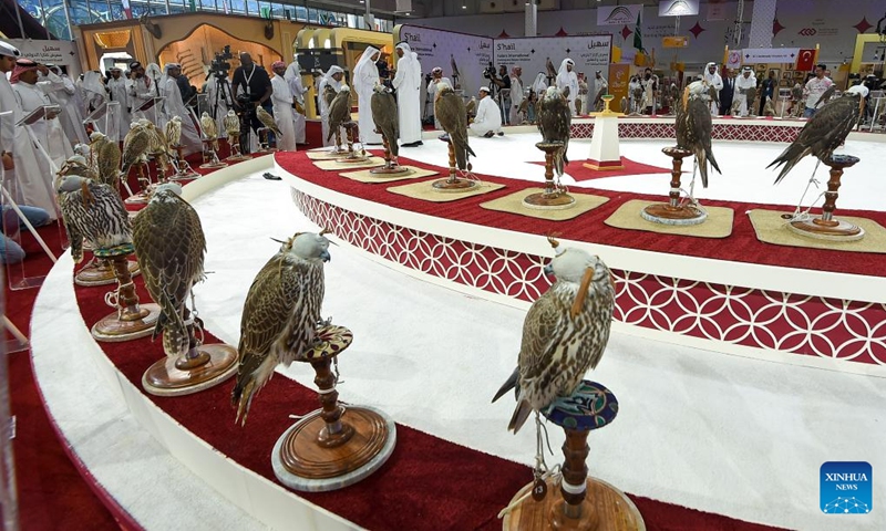 Falcons are displayed at the sixth edition of Katara International Hunting and Falcons Exhibition 2022 at Katara Cultural Village in Doha, Qatar, Sept. 5, 2022. The Hunting and Falcons Exhibition is held here from Sept. 5 to 10, with the participation of more than 180 companies from 20 countries.(Photo: Xinhua)