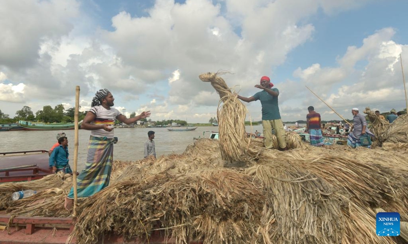 Laborers processes a bundle of jute onto a boat at a ferry terminal in Munshiganj, Bangladesh, on Sept. 2, 2022.(Photo: Xinhua)