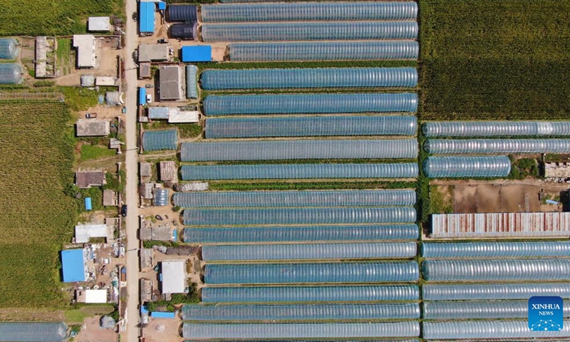 Aerial photo taken on Sept. 6, 2022 shows grape greenhouses in Dingjiafang Town of Faku County in Shenyang, northeast China's Liaoning Province. More than 3,500 mu (about 233 hectares) of grapes in Dingjiafang Town have entered the harvest season recently. (Xinhua/Yang Qing)