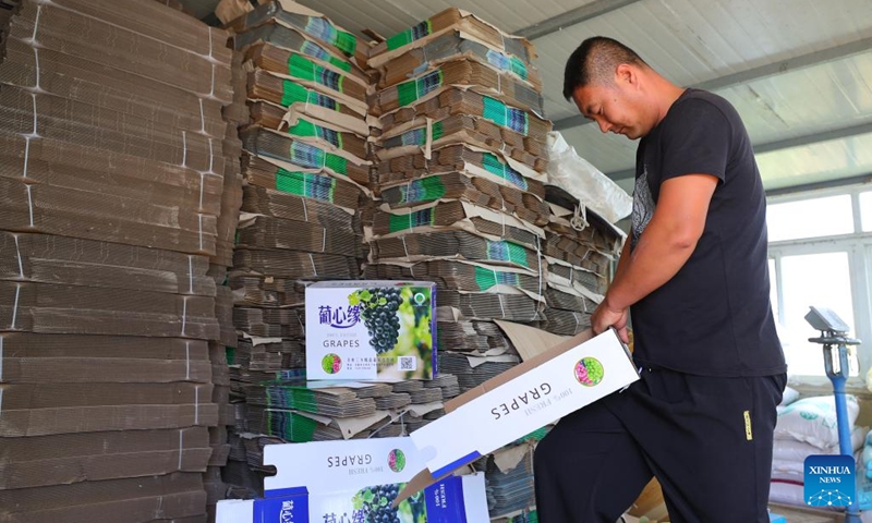 A farmer arranges packing boxes of grapes in Dingjiafang Town of Faku County in Shenyang, northeast China's Liaoning Province, Sept. 6, 2022. More than 3,500 mu (about 233 hectares) of grapes in Dingjiafang Town have entered the harvest season recently. (Xinhua/Yang Qing)