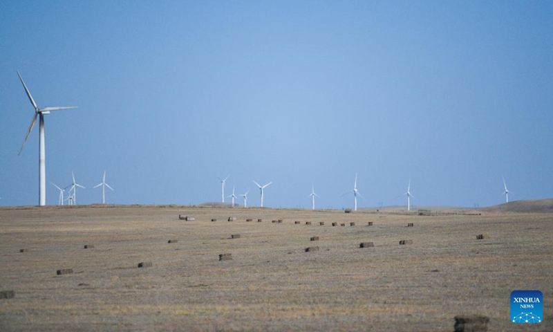 Bundles of grass which have been mowed are seen on a grassland in Abag Banner, north China's Inner Mongolia Autonomous Region, Sept. 8, 2022. Herdsmen here are busy mowing grasses to be stored as the winter food for their livestock. (Xinhua/Liu Lei)