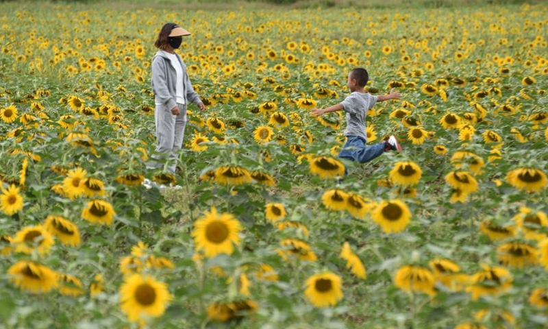 People have fun at a sunflower field during Mid-Autumn Festival holiday in Lijiang City, southwest China's Yunnan Province, Sept. 11, 2022.Photo:Xinhua