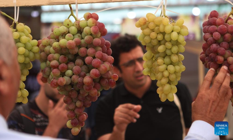 People attend an annual grapes festival in the West Bank city of Hebron, Sept. 17, 2022.Photo:Xinhua