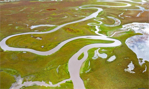 Scenery of Awancang Wetland in Gansu, NW China - Global Times