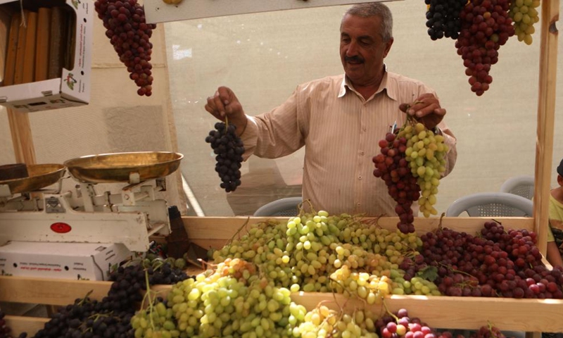 A man displays grapes during an annual grapes festival in the West Bank city of Hebron, Sept. 17, 2022.Photo:Xinhua