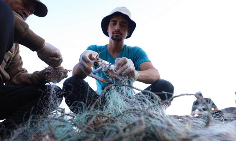 Fishermen remove crabs from the fishing net in Gaza City, on Sept. 17, 2022.Photo:Xinhua