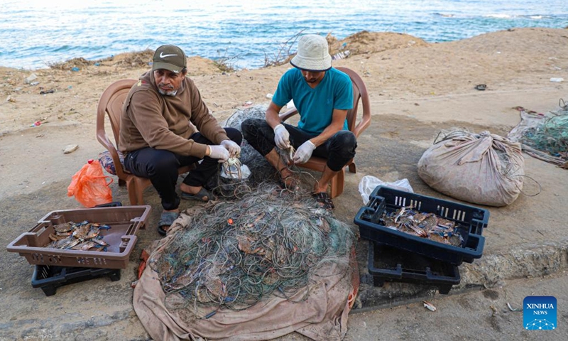 Fishermen remove crabs from the fishing net in Gaza City, on Sept. 17, 2022.Photo:Xinhua