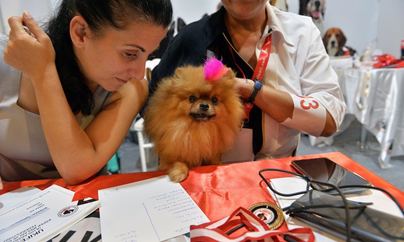 A dog at the 3rd Ankara Pet Products Expo in Ankara, Türkiye, on Sept. 18, 2022.(Photo: Xinhua)