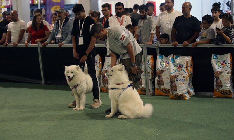 Two dogs at the 3rd Ankara Pet Products Expo in Ankara, Türkiye, on Sept. 18, 2022.(Photo: Xinhua)