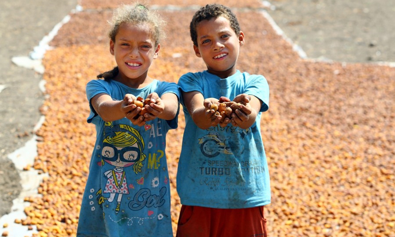 Children show dried dates at Dahshur village in Giza, Egypt, on Sept. 21, 2022.(Photo: Xinhua)