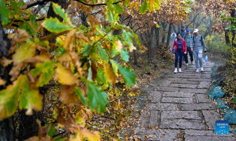 People visit Baihuashan National Nature Reserve in Beijing, capital of China, Oct. 2, 2022. (Xinhua/Peng Ziyang)