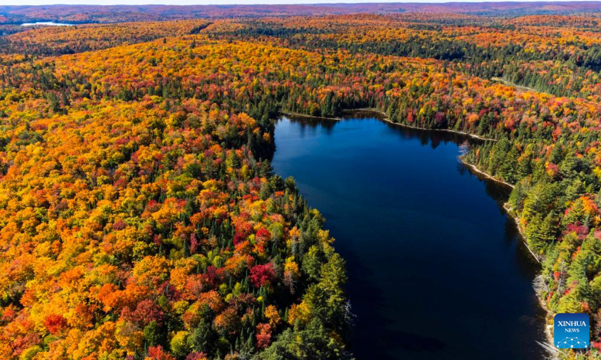 Photo taken on Oct 3, 2022 shows the autumn scenery near Highway 60 in Ontario, Canada. Photo:Xinhua