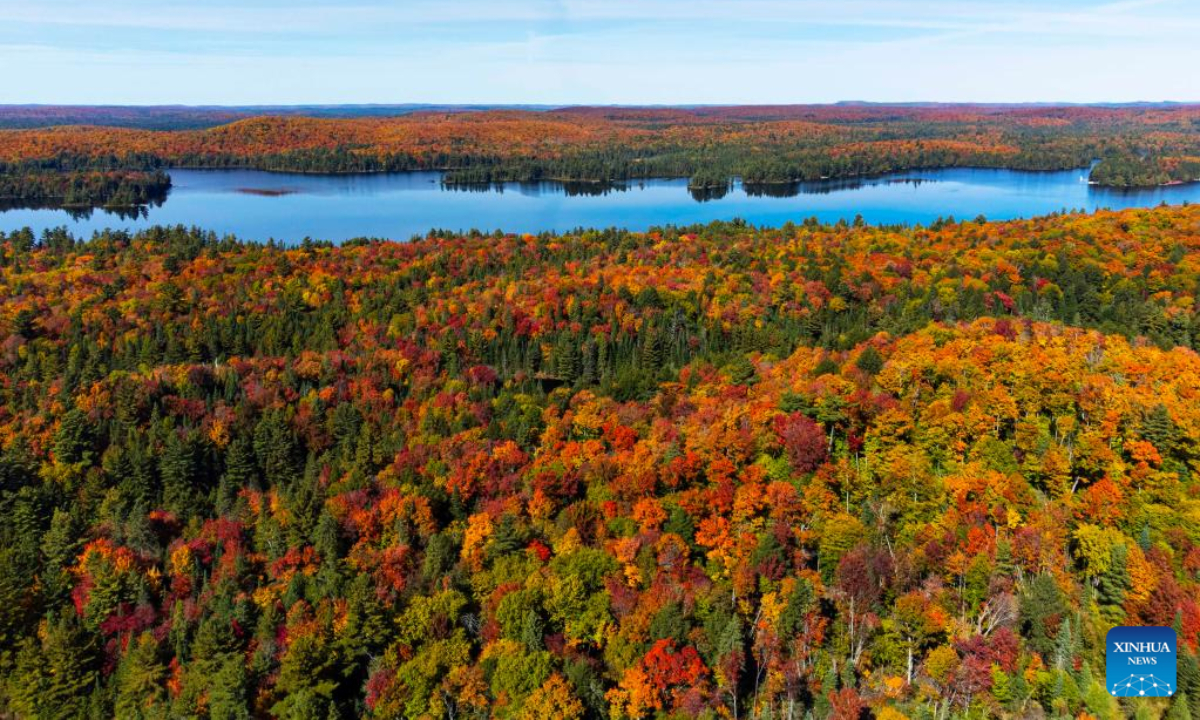 Photo taken on Oct 3, 2022 shows the autumn scenery near Highway 60 in Ontario, Canada. Photo:Xinhua