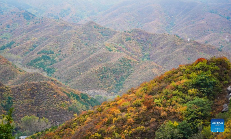 Photo taken on Oct. 2, 2022 shows the scenery of Baihuashan National Nature Reserve in Beijing, capital of China. (Xinhua/Peng Ziyang)