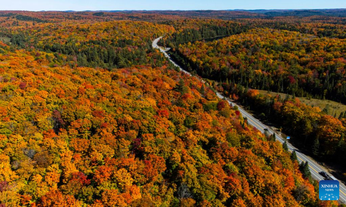 Photo taken on Oct 3, 2022 shows the autumn scenery near Highway 60 in Ontario, Canada. Photo:Xinhua