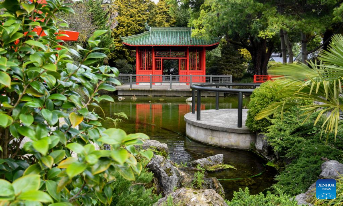 A Chinese-style osmanthus garden is pictured in Hastings, New Zealand, Sep 23, 2022. In 1981, Hastings and Guilin of south China's Guangxi Zhuang Autonomous Region became the first China-New Zealand sister cities. Osmanthus is the city flower of Guilin. Photo:Xinhua