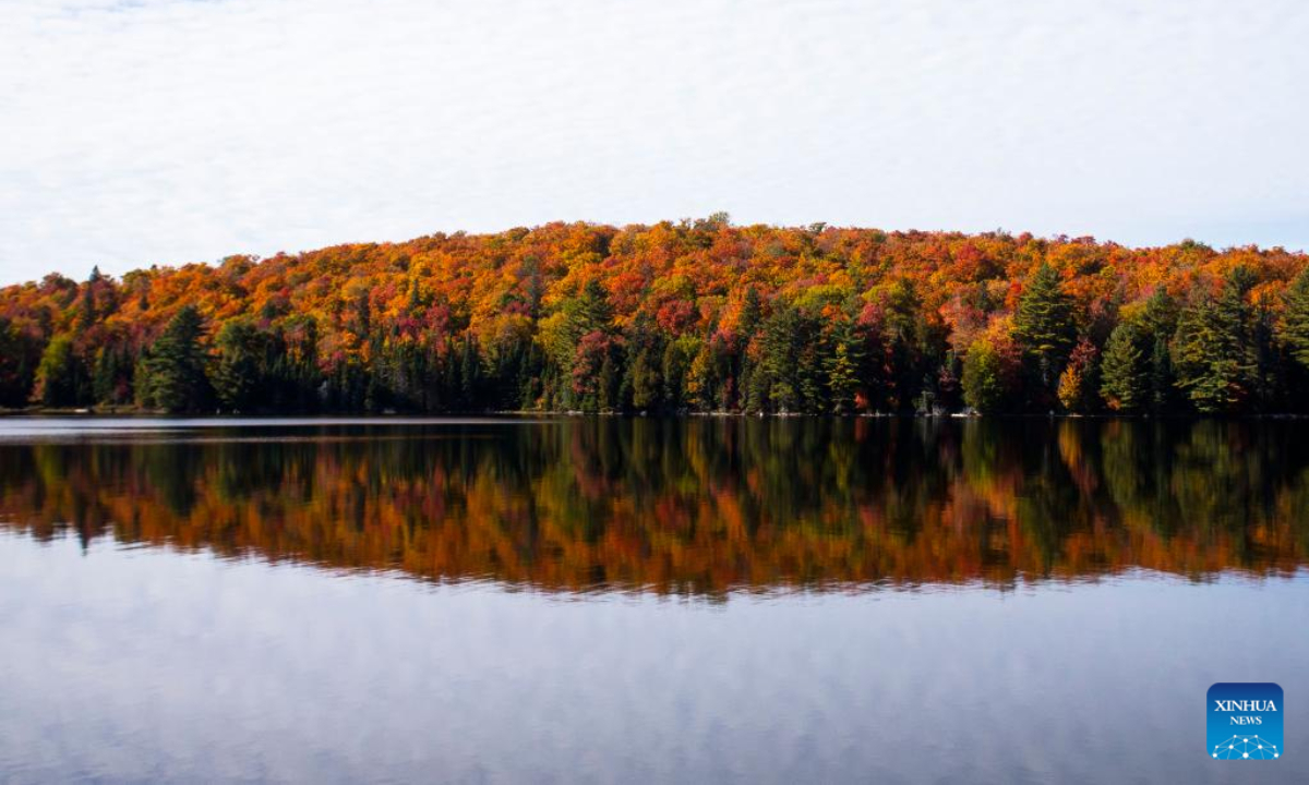 Photo taken on Oct 3, 2022 shows the autumn scenery near Highway 60 in Ontario, Canada. Photo:Xinhua