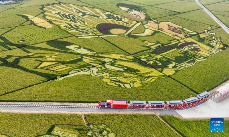 Aerial photo taken on Oct. 1, 2022 shows tourists on a train driving through fields in Shanligezhuang Village of Zunhua, north China's Hebei Province. (Photo by Liu Mancang/Xinhua)