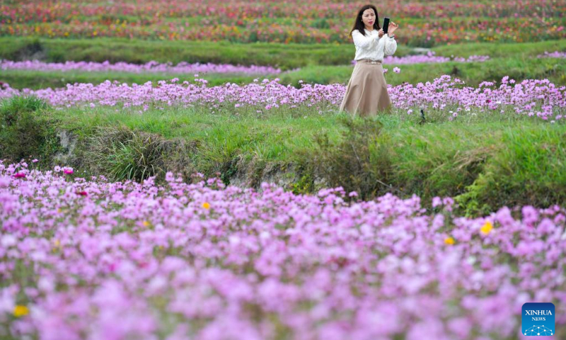 A tourist visits a flower field at a comprehensive agricultural base in Qiantao Township of Huaxi District, Guiyang, southwest China's Guizhou Province, Oct. 6, 2022. (Xinhua/Yang Wenbin)