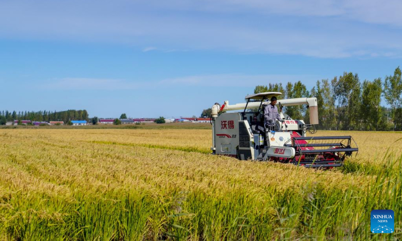 A farmer drives a farming machinery to harvest rice at a family farm in Jiutai District of Changchun, northeast China's Jilin Province, Sept. 20, 2022. Autumn harvest has recently started at the rice-growing areas across the province. (Xinhua/Yan Linyun)