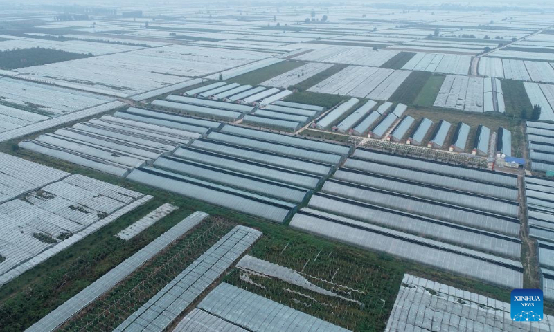 Aerial photo taken on Sept. 22, 2020 shows greenhouses of jujube planting in Xiaopo Village of Dali County, northwest China's Shaanxi Province. (Xinhua/Zhang Bowen)