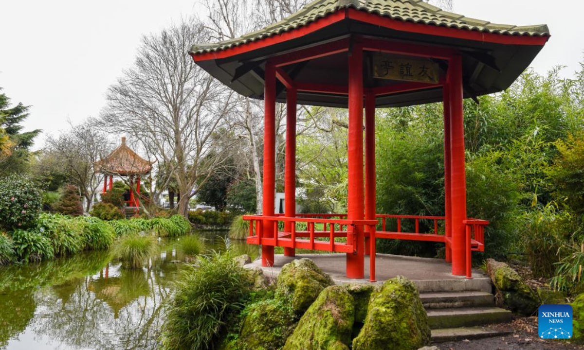 A Chinese-style osmanthus garden is pictured in Hastings, New Zealand, Sep 23, 2022. In 1981, Hastings and Guilin of south China's Guangxi Zhuang Autonomous Region became the first China-New Zealand sister cities. Osmanthus is the city flower of Guilin. Photo:Xinhua