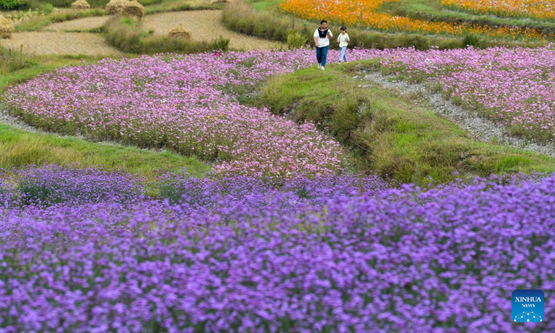 Tourists visit a flower field at a comprehensive agricultural base in Qiantao Township of Huaxi District, Guiyang, southwest China's Guizhou Province, Oct. 6, 2022. (Xinhua/Yang Wenbin)