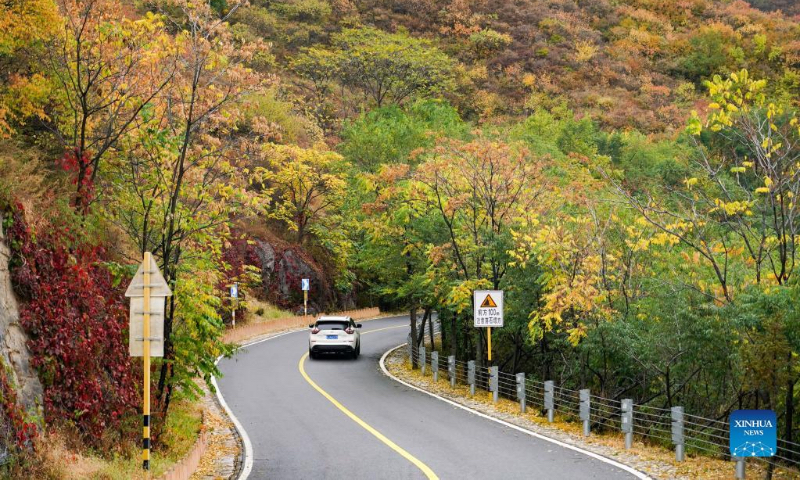 Photo taken on Oct. 2, 2022 shows the scenery of Baihuashan National Nature Reserve in Beijing, capital of China. (Xinhua/Peng Ziyang)