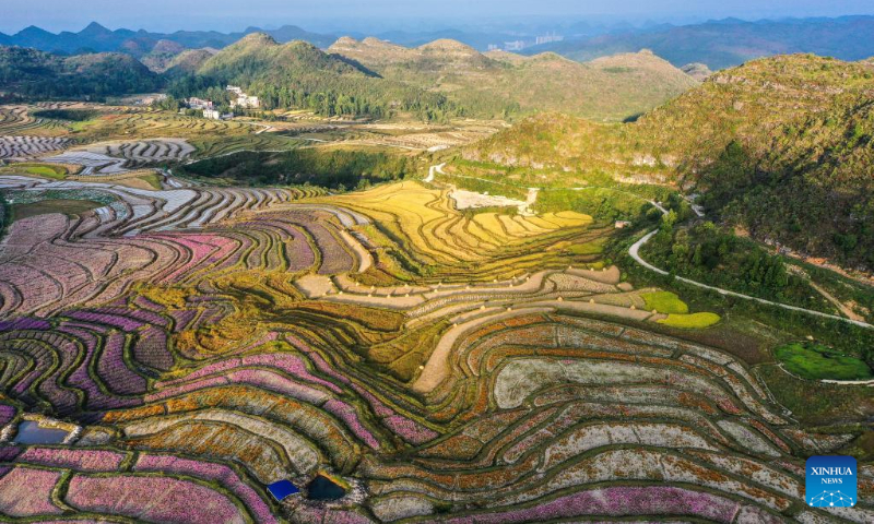 Aerial photo taken on Oct. 6, 2022 shows a comprehensive agricultural base in Qiantao Township of Huaxi District, Guiyang, southwest China's Guizhou Province. (Xinhua/Yang Wenbin)