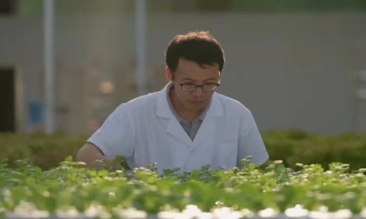 Wu Zhongsheng, the project manager, factory director, and technologist of Jingdong Vegetable Factory,successfully expanded the vegetables to 16 varieties with an annual output of 300 tons.