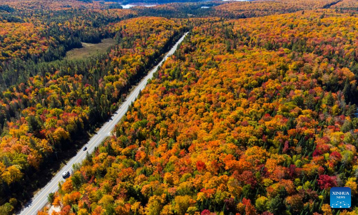 Photo taken on Oct 3, 2022 shows the autumn scenery near Highway 60 in Ontario, Canada. Photo:Xinhua