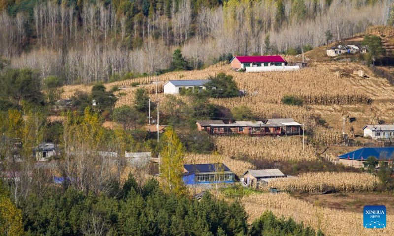 Photo taken on Oct. 5, 2022 shows the scenery of a village near the Hongshi National Forest Park in Jilin City, northeast China's Jilin Province. (Xinhua/Yan Linyun)