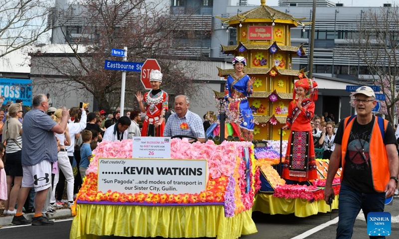 Kevin Watkins drives his Chinese-themed Guilin Sun Pagoda float to a meeting point of the Hastings Blossom Parade in Hastings, New Zealand on Sept. 24, 2022.Photo:xinhua