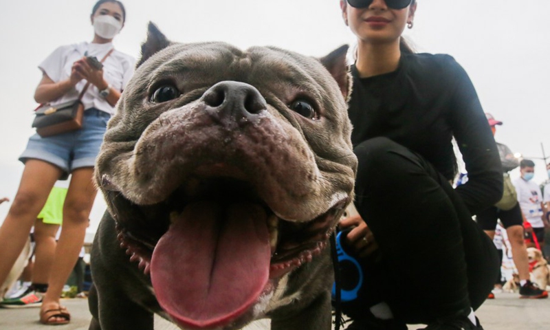 A woman is seen with her pet dog during the Run Fur Life marathon in Pasig City, the Philippines, Sept. 25, 2022.(Photo: Xinhua)