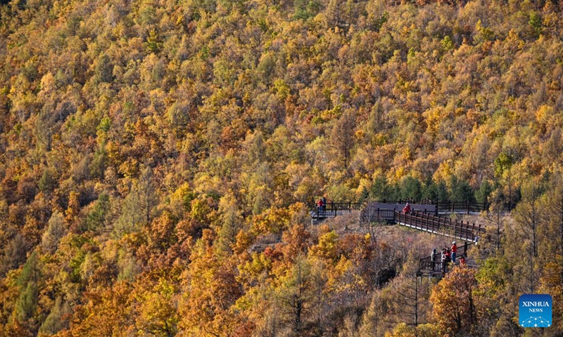 Visitors enjoy autumn scenery at Shidawan scenic spot in Chaihe Town, Zhalantun City of north China's Inner Mongolia Autonomous Region, Sept. 27, 2022.(Photo: Xinhua)