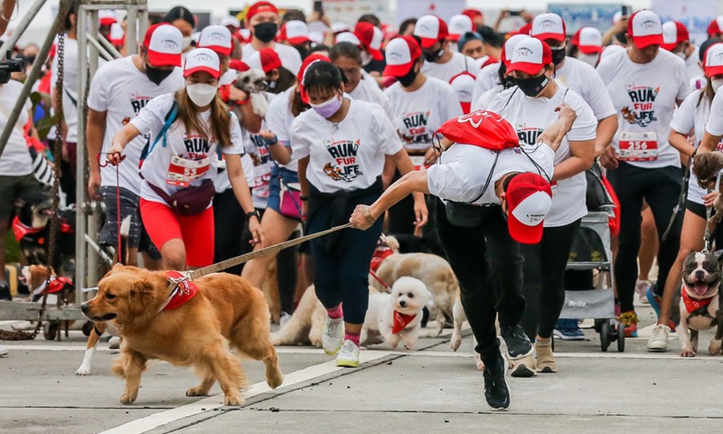 A man is dragged by his running dog during the Run Fur Life marathon in Pasig City, the Philippines, Sept. 25, 2022.(Photo: Xinhua)