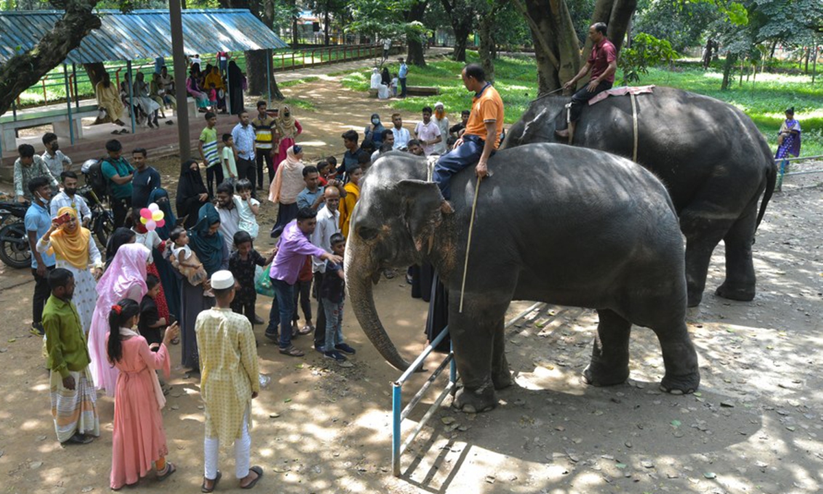 Visitors interact with elephants at the Bangladesh National Zoo in Dhaka, Bangladesh, on Oct. 4, 2022. (Xinhua)

