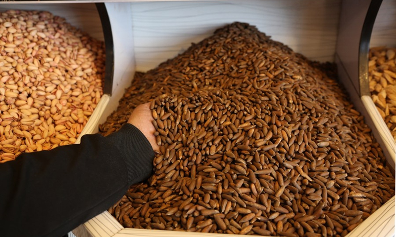 An Afghan man shows pine nuts for sale at his shop in Kabul, capital of Afghanistan, Nov. 14, 2018.(Photo: Xinhua)