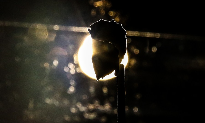 The Bondoc meteorite is backlit by a museum light as it is unveiled at the Philippine National Museum in Manila, the Philippines, Oct. 11, 2022.(Photo: Xinhua)